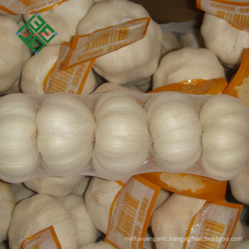 best 3p pure white garlic price in china